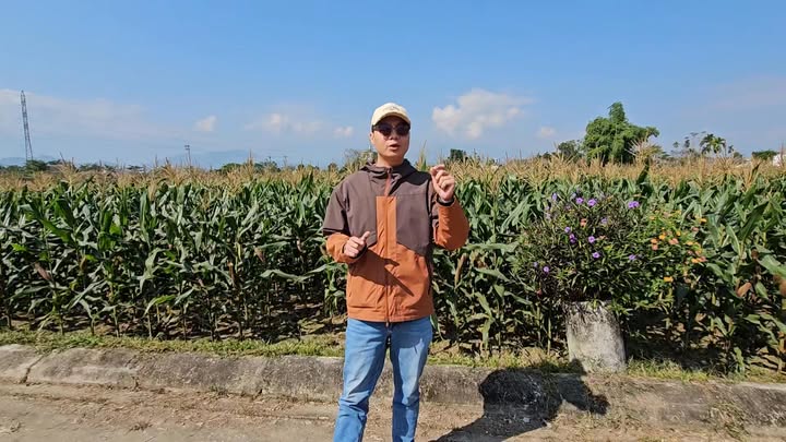 Đất nền Nghĩa Lợi, Nghĩa Lộ 85.3m² giá 586 triệu - Cơ hội đầu tư lý tưởng!