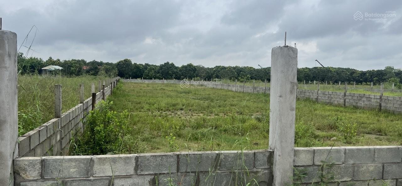 Đất mặt tiền Thạnh Thới, Cần Giờ 3448m² giá 89.65 tỷ - Tiềm năng đầu tư lớn!