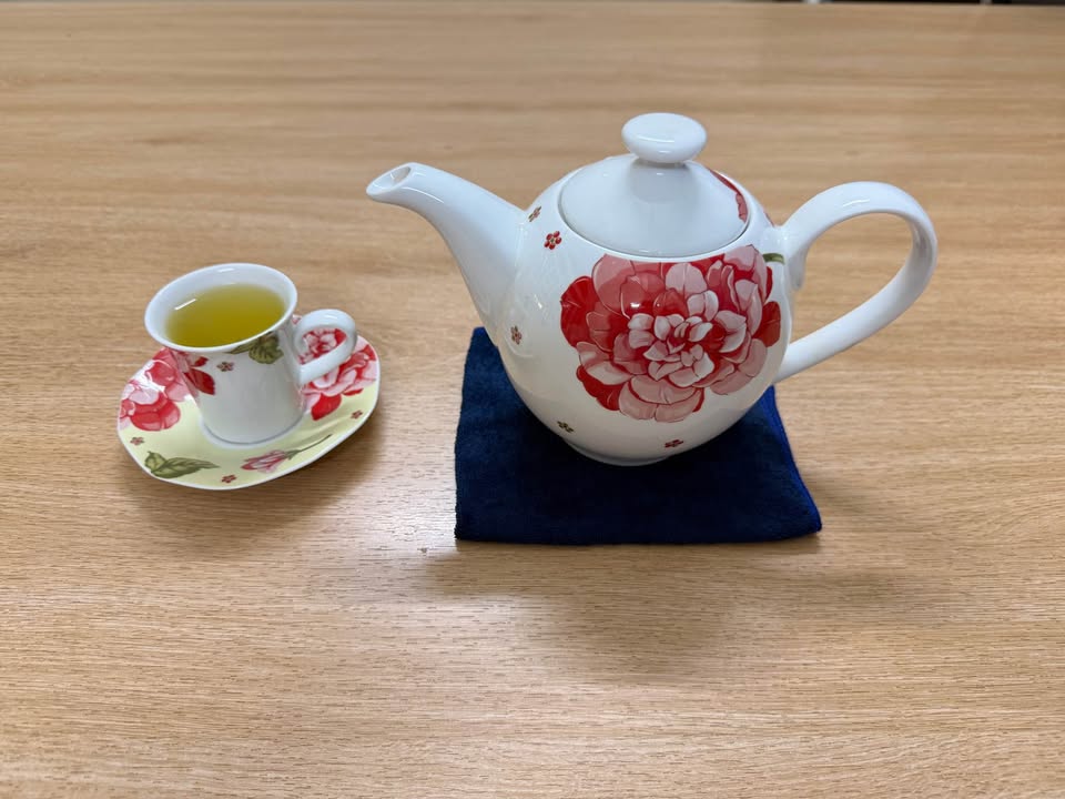 Đất nền Nam Sơn An Dương 60m² giá 700 triệu - Tiềm năng tăng giá mạnh!