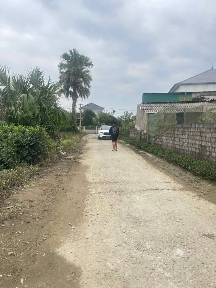 Đất Thạch Xuân 144m² giá 650 triệu - Cơ hội đầu tư sinh lời!