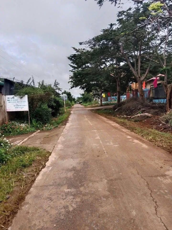 Đất Ea Tam Krông Năng 460m² giá 32.2 tỷ - Tiềm năng với vườn sầu riêng xanh tốt!