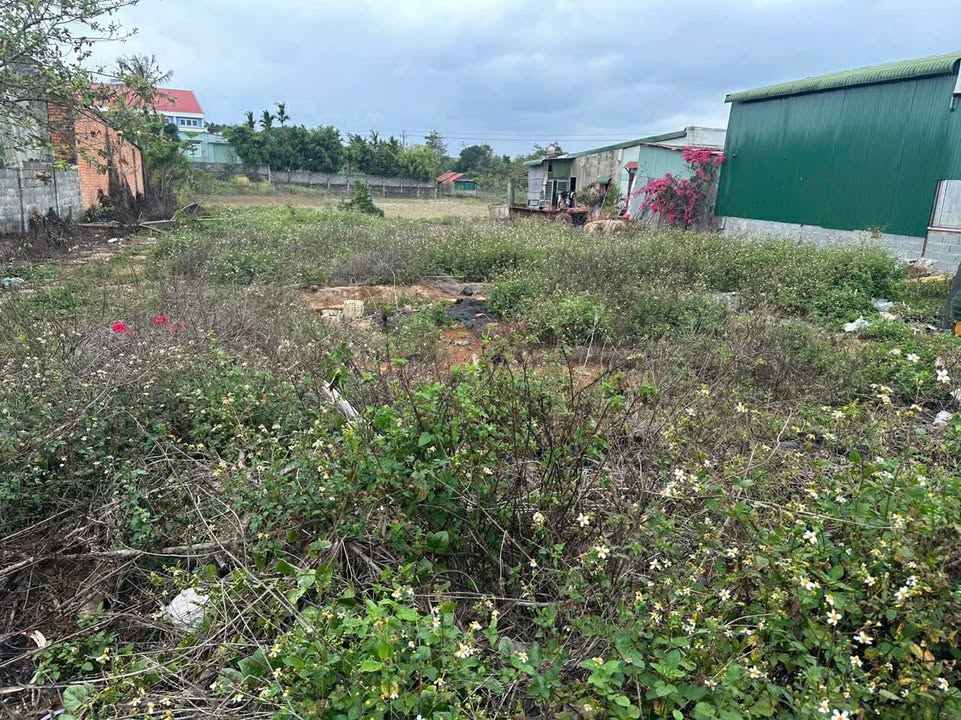 Đất nền Thống Nhất, Krông Năng - Diện tích 200m², giá chỉ 120 triệu - Đầu tư sinh lời ngay hôm nay!