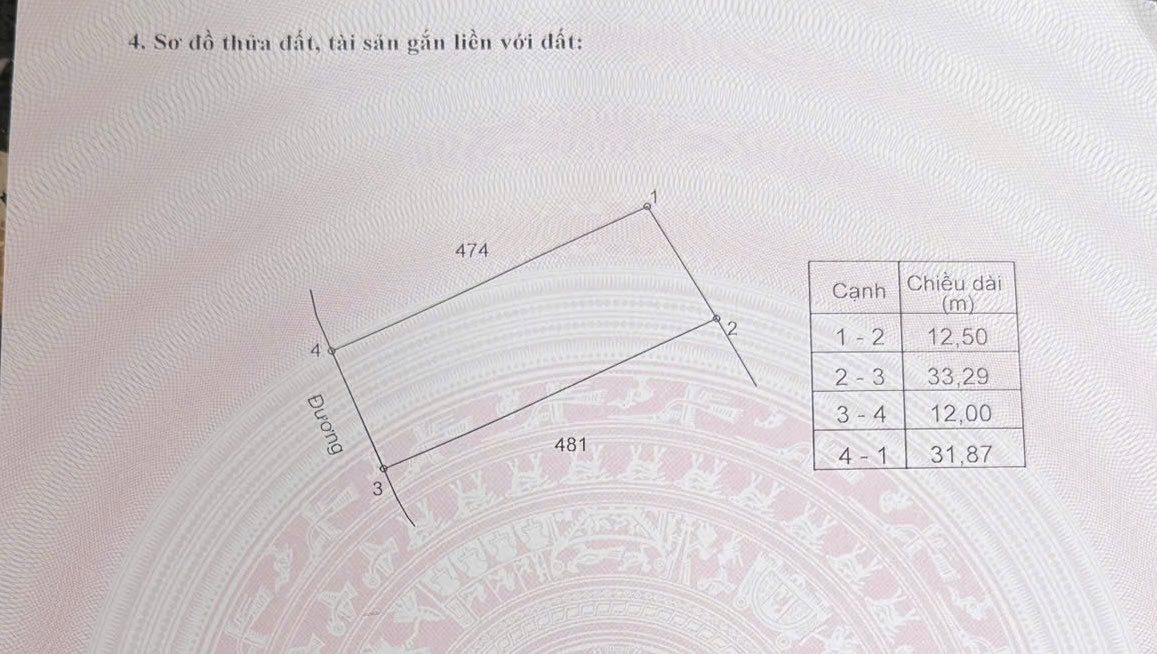 Đất nền đẹp 400m² Thôn Ngọc Thụ, Đại Đình, Tam Đảo - Giá chỉ 1.6 tỷ!