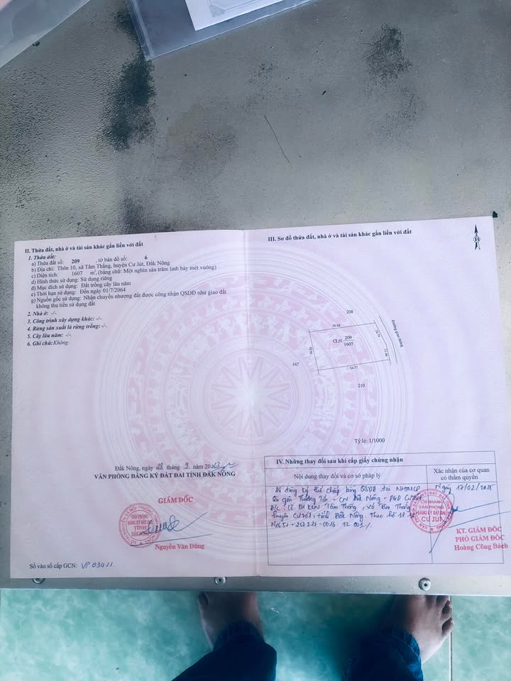 Đất nền 1500m² Đắk Nông - Giá chỉ 900 triệu - Mặt tiền đường bê tông thuận tiện!