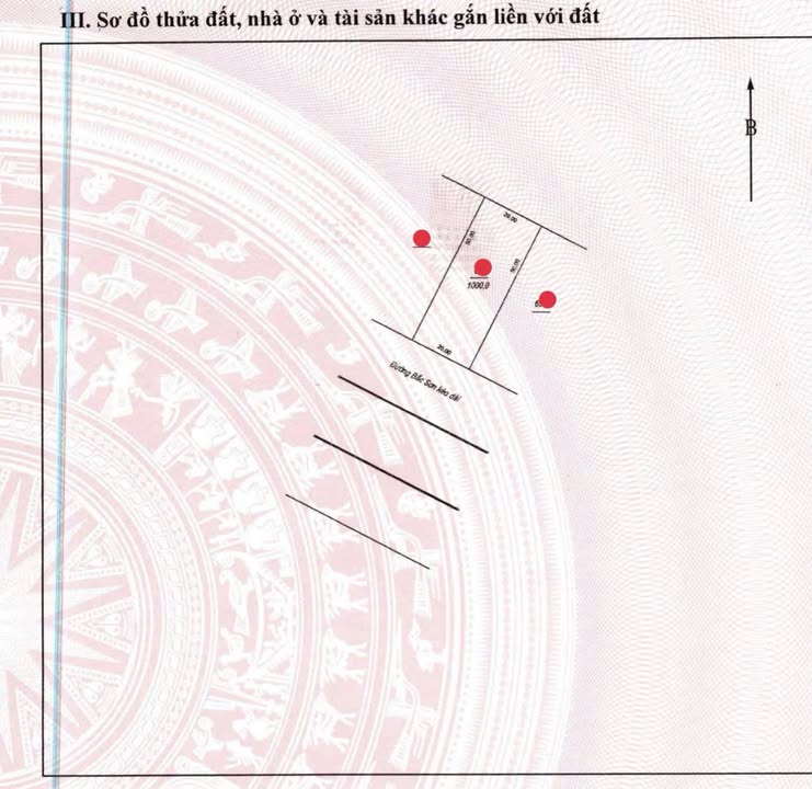 Đất thương mại dịch vụ mặt đường Bắc Sơn kéo dài, phường Quyết Thắng, 1000m² - Giá tốt cho đầu tư!