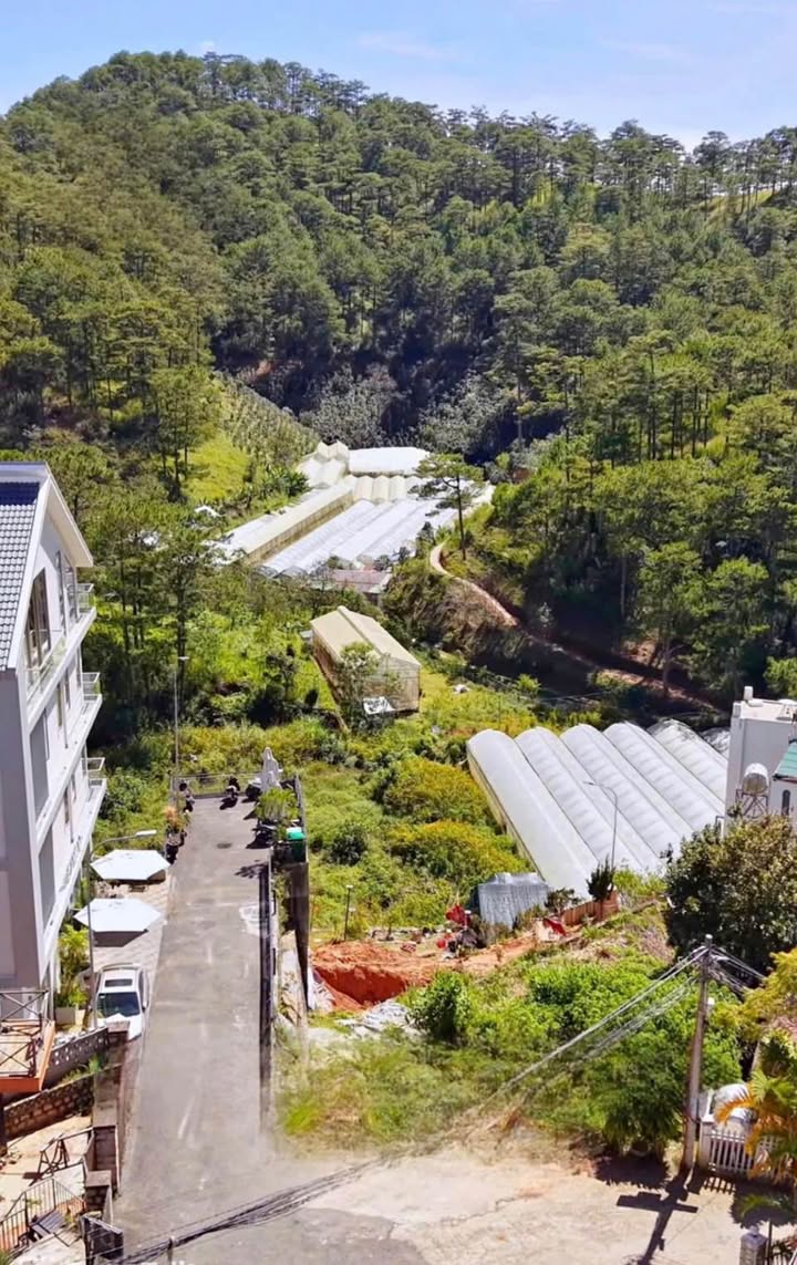 Đất nền Đà Lạt 251m² giá 7 tỷ - View rừng thông tuyệt đẹp!