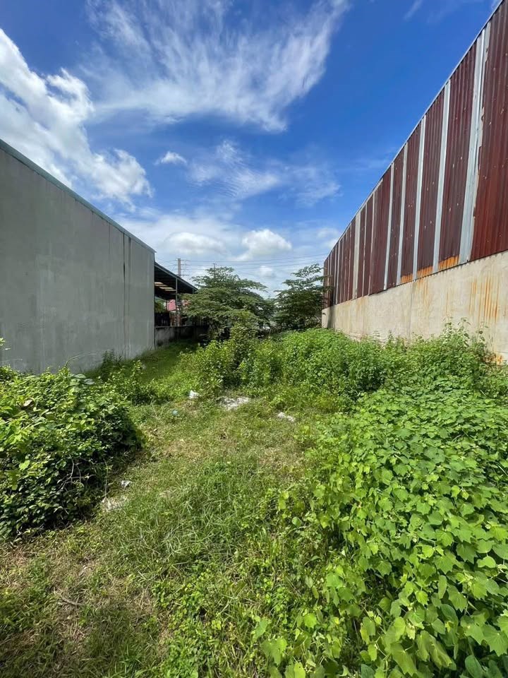 Đất nền Bình Dương 250m² giá chỉ 450 triệu - Mặt tiền đường lộ 32m