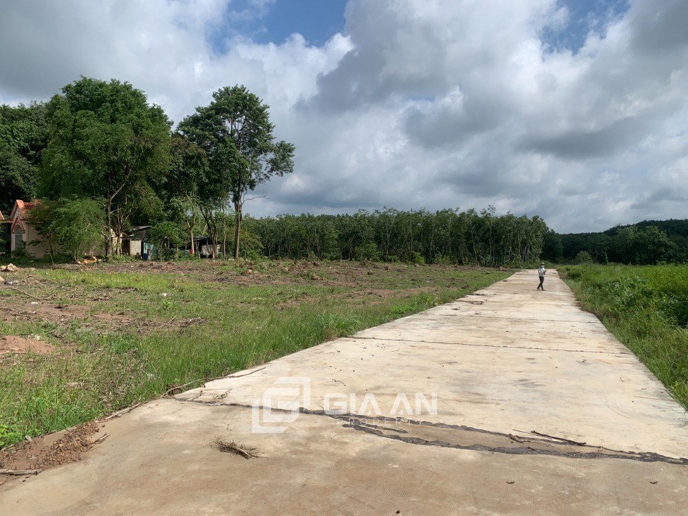 Đất nền 150m² Thới Hòa - Bến Cát chỉ 450 triệu - Cơ hội đầu tư sinh lời!