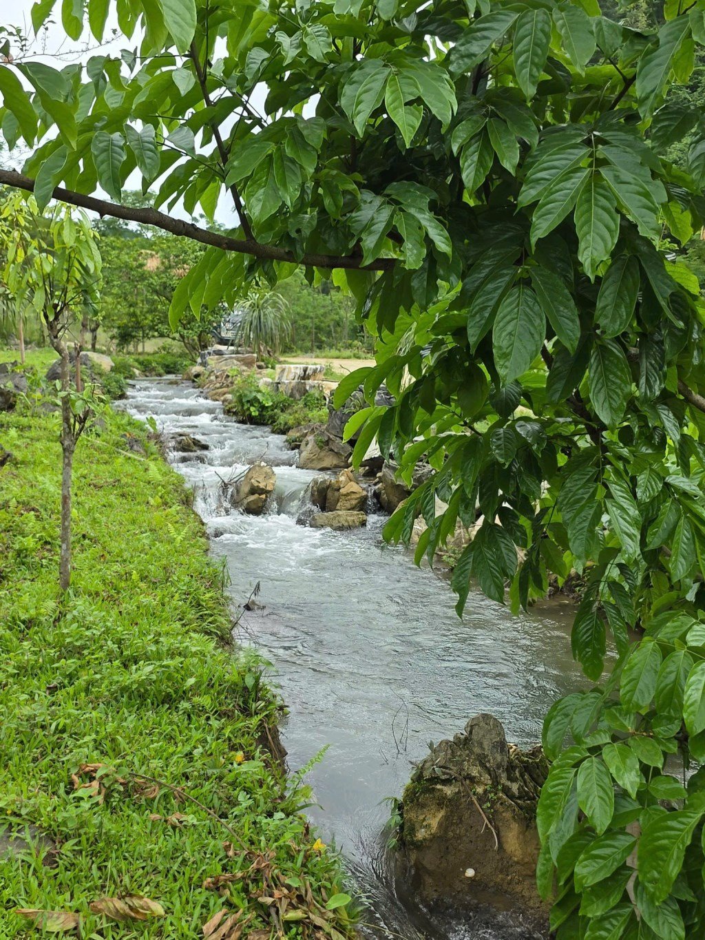 Đất nền Sông Nhạn, Cẩm Mỹ 525m² giá 1.5 tỷ - Đầu tư sinh lời lý tưởng!