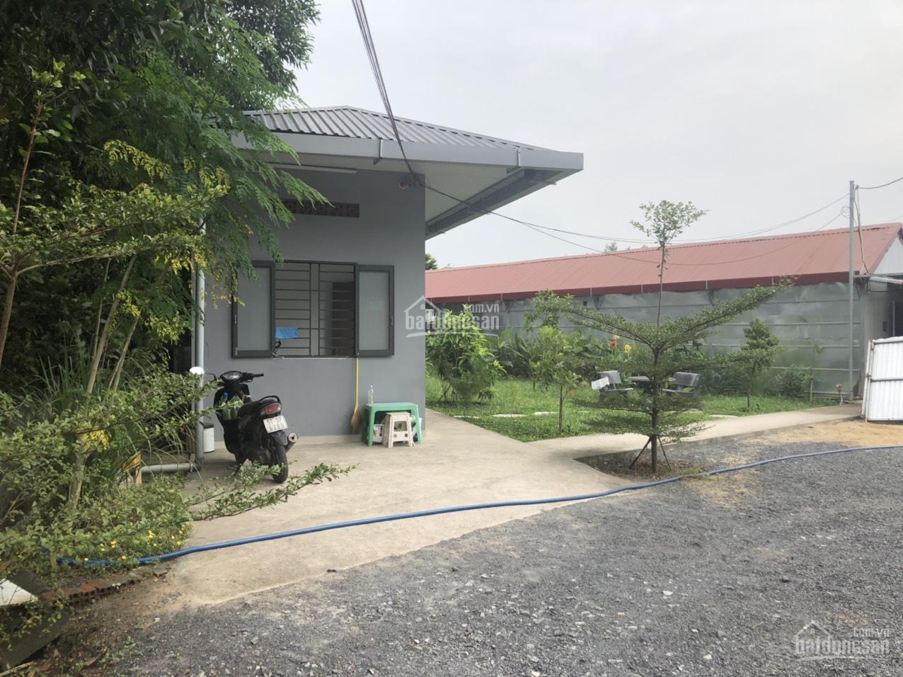 Cho Thuê Kho Xưởng 15.000m² tại Long An, Long Thành, Đồng Nai - Giá Chỉ 50 Triệu/Tháng