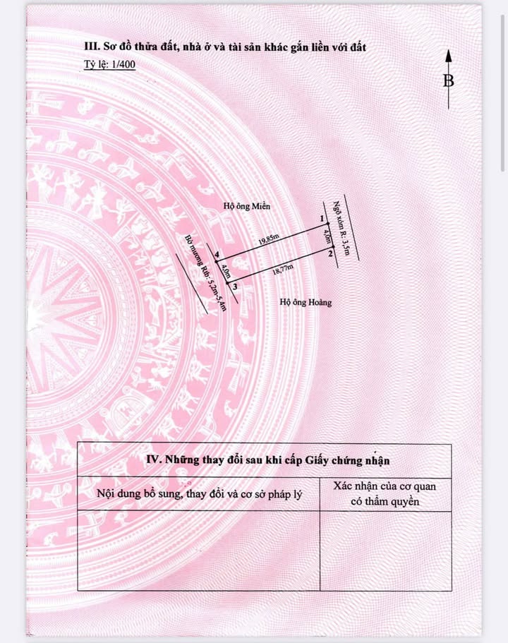 Đất nền Tân Viên An Lão 80m² - Đầu tư sinh lời, ô tô vào tận nơi!