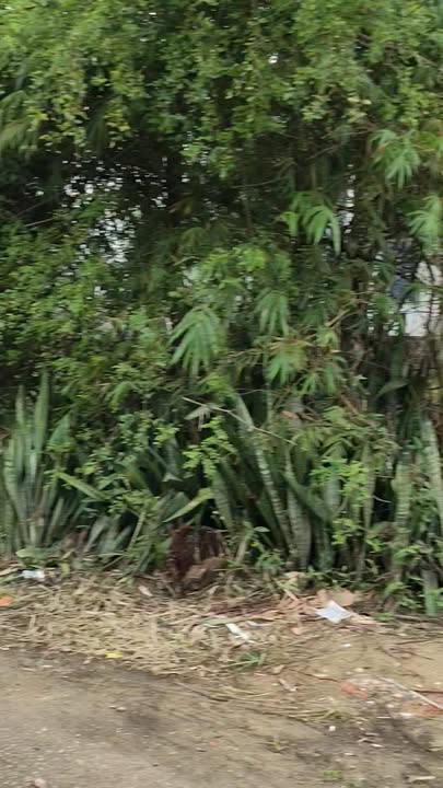 Đất nền Trần Thủ Độ, Cẩm Lệ, 314.4m² giá 2.3 tỷ - Đầu tư sinh lời ngay!