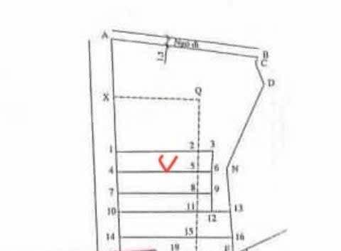 Đất nền phường Tân An - Quảng Yên 150m² giá chỉ 1.5 tỷ - Đầu tư sinh lời ngay!