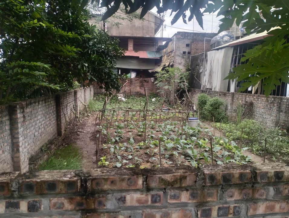 Đất nền Thôn Giao Tất, Gia Lâm 100m² giá 3 tỷ - Đầu tư sinh lời ngay!