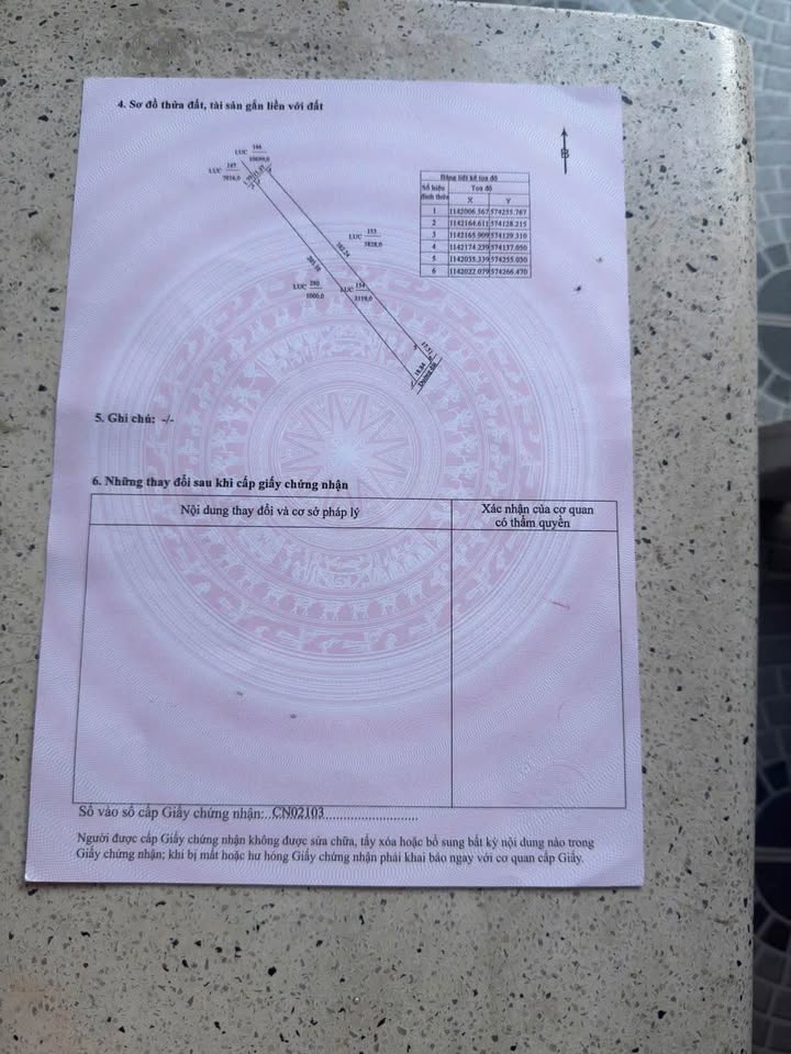 Bán đất vườn tại phường Mỹ Thới, Long Xuyên 3.119m² - Lý tưởng nghỉ dưỡng và trồng trọt!