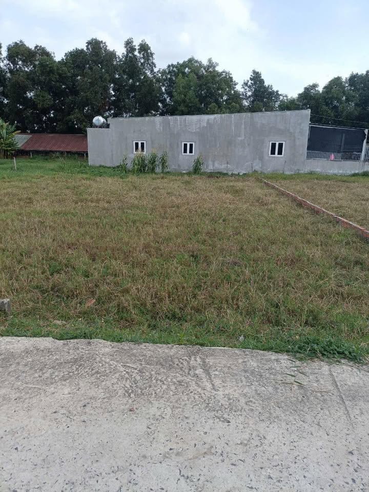 Đất thổ cư 125m² tại ấp Giồng Lớn, Mỹ Hạnh Nam giá 1.3 tỷ - Pháp lý rõ ràng, giao ngay!