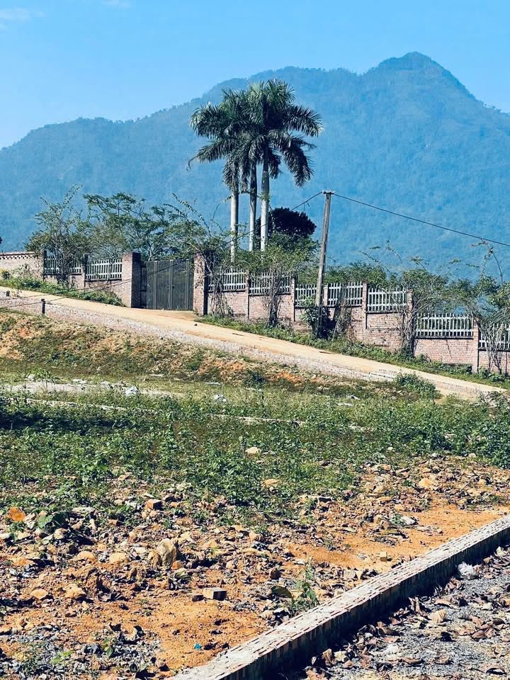 Đất nền Yên Bài, Ba Vì 1500m² - Sát khu nghỉ dưỡng, giá thỏa thuận!