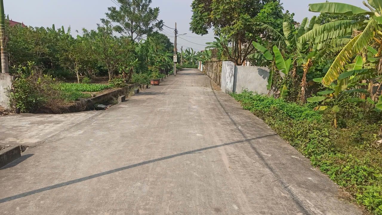 Đất nền Nghĩa Lâm 225.81m² giá 1 tỷ - Đầu tư an toàn, vị trí thuận lợi!