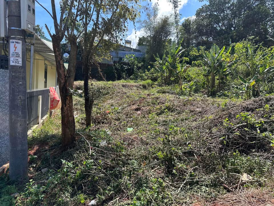 Đất ở Nghĩa Đức, Gia Nghĩa 216m² giá 920 triệu - Đầu tư sinh lời ngay!