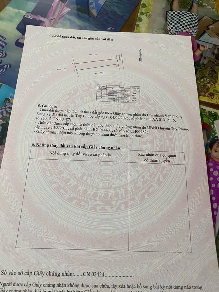 Đất nền 200m² tại Bình An 2, Tuy Phước - Giá tốt bất ngờ!