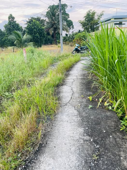 Đất nền Bình Tâm Tân An 1015m² giá 850 triệu - Đất sạch, giá tốt, thương lượng!