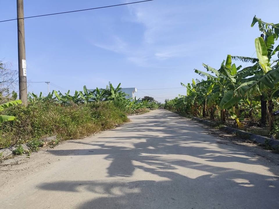 Đất phân lô Đông Hạ Ninh Phúc 138m² giá thỏa thuận - Vị trí đắc địa, không lỗi lầm