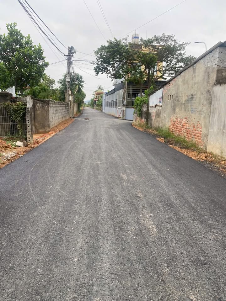 Đất nền Tân Viên An Lão 60m² giá 500 triệu - Sổ hồng chính chủ sang tên ngay!