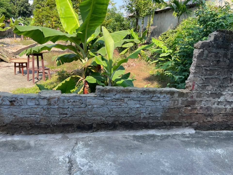 Đất nền khu phố 12, phường Thanh Miếu, 104,8m² giá 2 tỷ - Sổ đỏ chính chủ sẵn sàng!