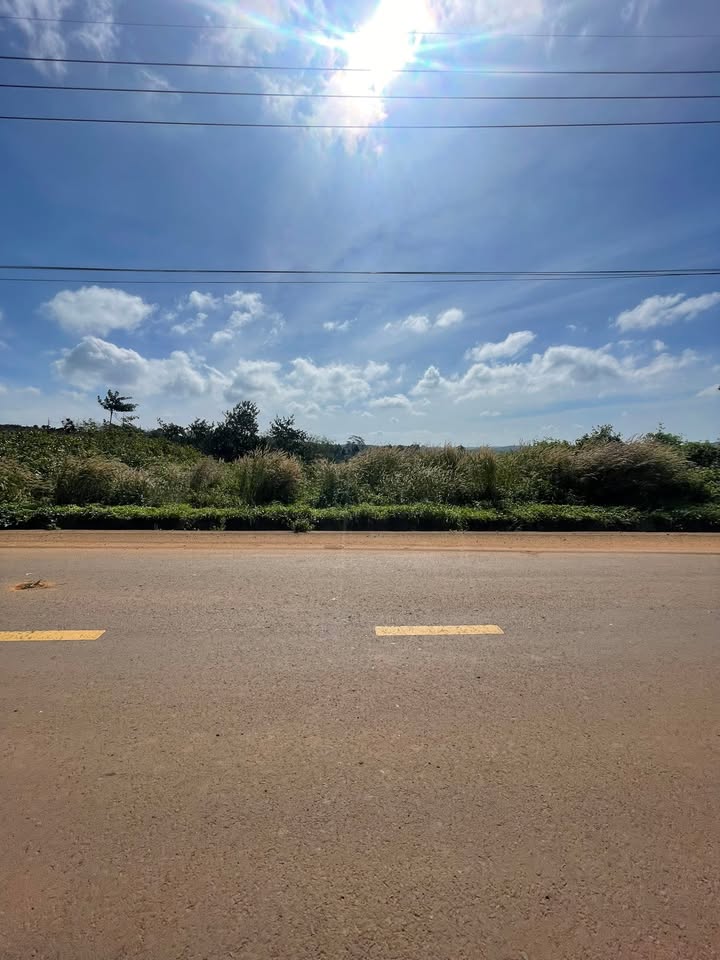 Đất nền 7200m² mặt tiền tỉnh lộ 686 - Bán gấp chỉ 8.64 tỷ!