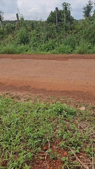 Đất thổ cư 2.000m² mặt tiền đường nhựa tại Đắk Wer giá 690 triệu - Cơ hội đầu tư tuyệt vời!