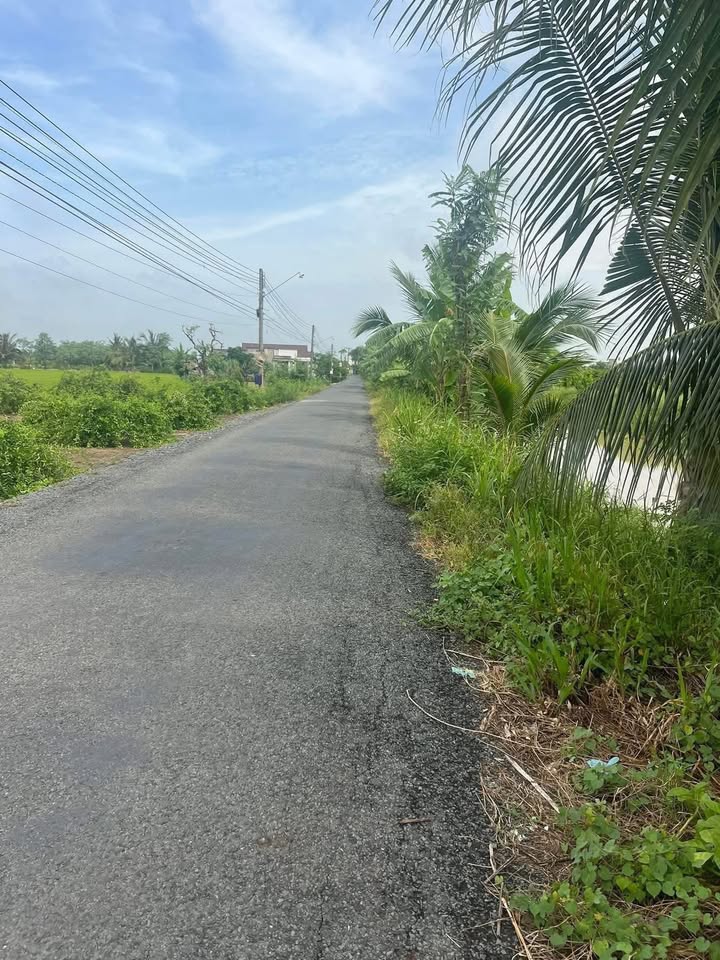 Đất nền mặt tiền Gò Tre Long Thuận 301m² giá 950 triệu - Thích hợp đầu tư!