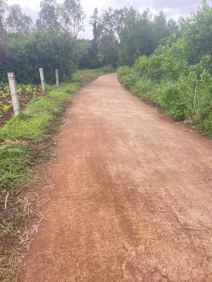 Đất nền BHK Bình Phú 700m² - Vị trí đẹp, giá thỏa thuận hấp dẫn!