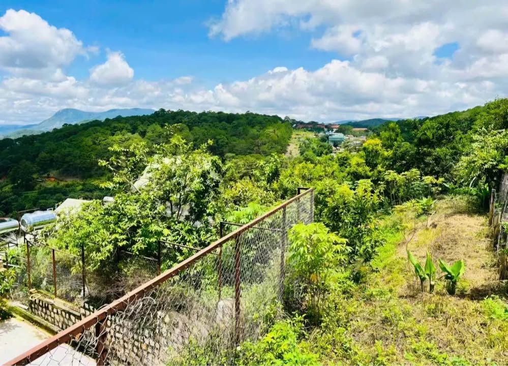 Đất nền Hoàng Hoa Thám Đà Lạt 655m² giá 13 tỷ - View đẹp, đường ô tô