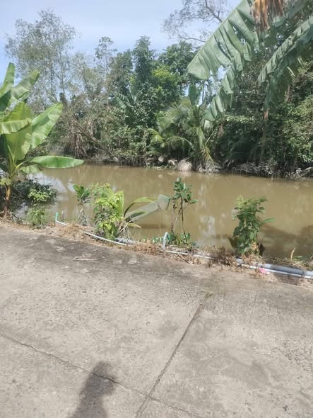 Đất vườn 5.4 công tại xã Thanh Mỹ, Tháp Mười - Giá chỉ 2.25 tỷ, cơ hội đầu tư hấp dẫn!