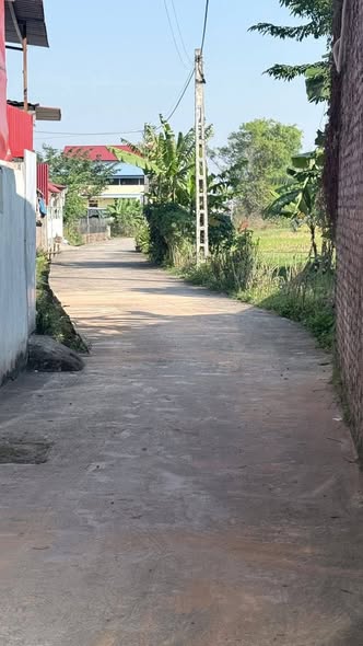 Đất nền Làng Hạnh, Đông Lỗ 109m² giá 800 triệu - Cơ hội đầu tư hấp dẫn!