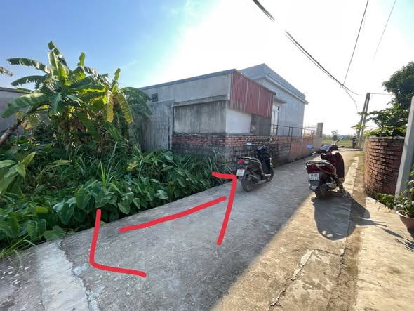 Đất nền Tân Viên An Lão 80m² giá chỉ 6xx triệu - Cơ hội đầu tư hiếm có!