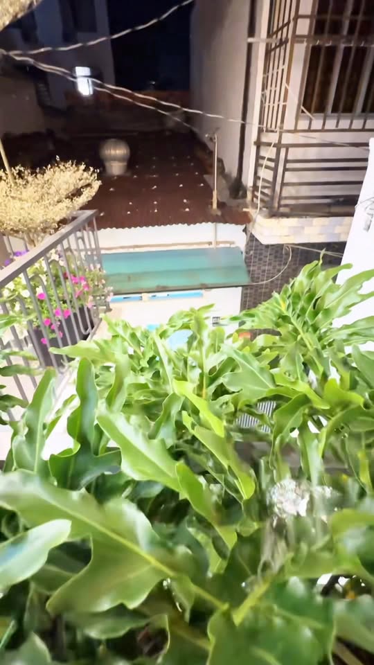 Nhà đẹp Lê Đức Thọ 48m² giá 5.98 tỷ - Hẻm 3m văn minh!