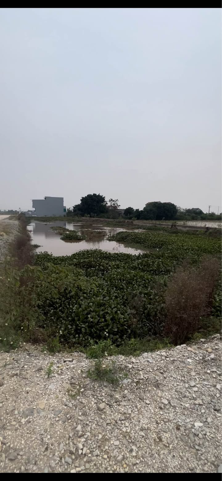 Đất nền Kim Sơn 147,2m² giá 1 tỷ - Đầu tư sinh lời cao!