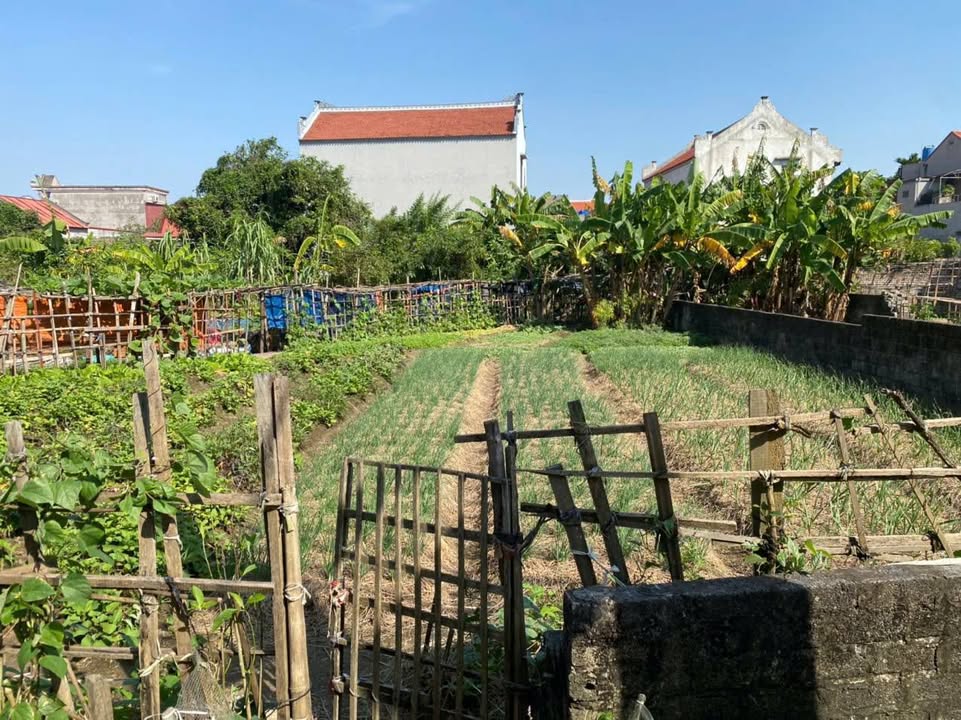 Đất thổ cư Cúc Bồ, Hải Dương 100m² giá 1 tỷ - Đầu tư sinh lời!