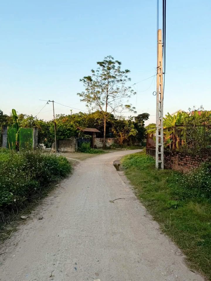 Đất nền Lương Phong, Hiệp Hòa 138m² giá chỉ 800 triệu - Đầu tư sinh lời ngay!