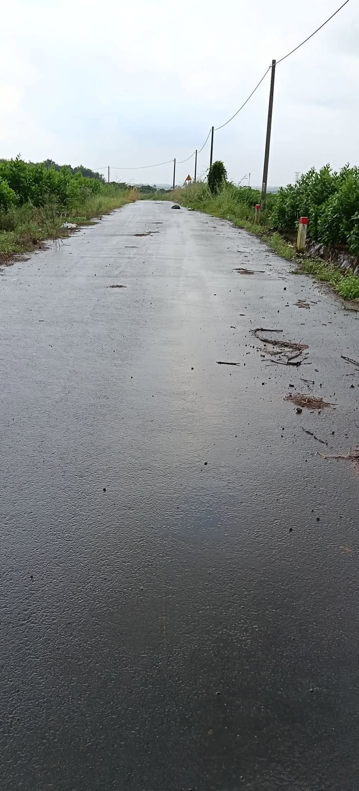 Đất nền Suối Nghệ 7100m² giá 6.4 tỷ - Đường nhựa 6m, vị trí kinh doanh lý tưởng!