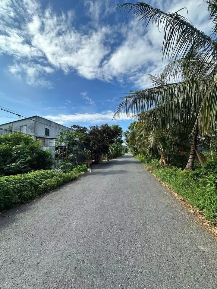 Đất nền mặt tiền đường Nguyễn Văn Khuynh, phường 5, Sóc Trăng 550m² - Giá chỉ 1.4 tỷ, thương lượng!