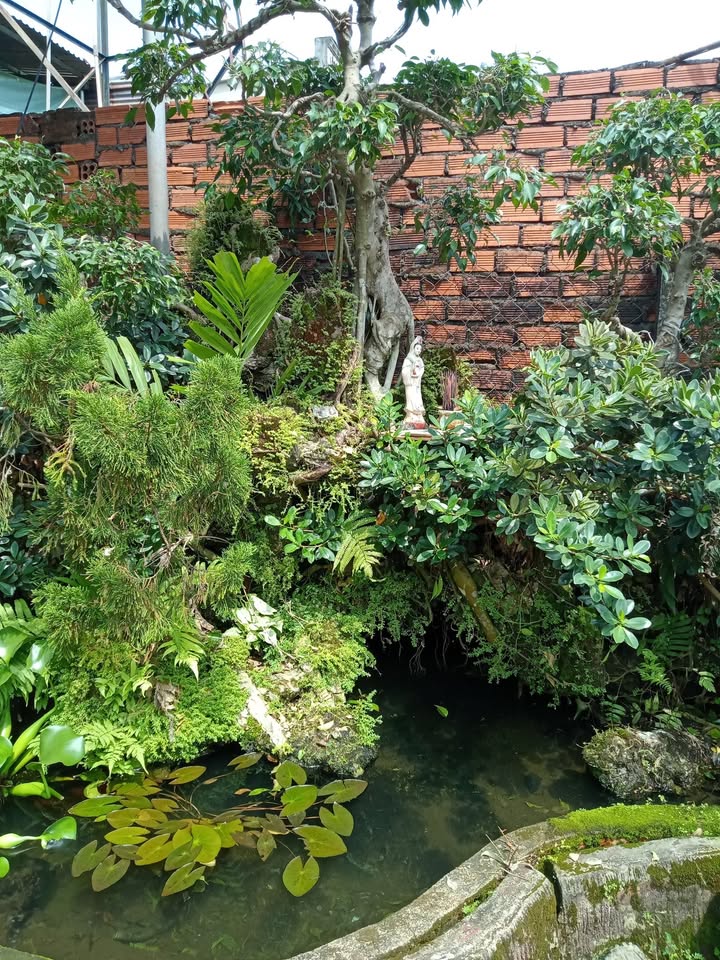 Đất thổ cư 355m² tại Thôn 8, Nghĩa Trung, Bù Đăng giá 200 triệu - Cơ hội sở hữu ngay!