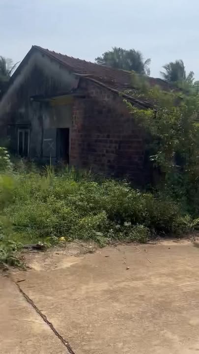 Đất nền Hoài Ân, Bình Định 555m² - Vị trí thông thoáng, kinh doanh thuận lợi!