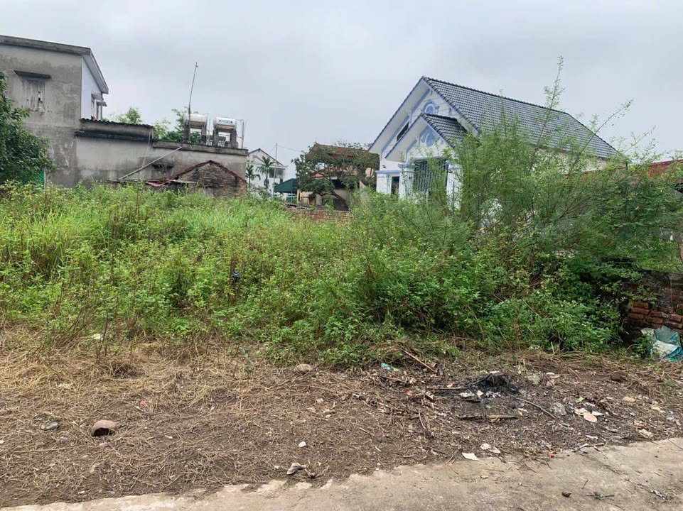 Đất nền Hồng Phong Nam Sách 60m² giá 700 triệu - Tiềm năng đầu tư sinh lời cao!