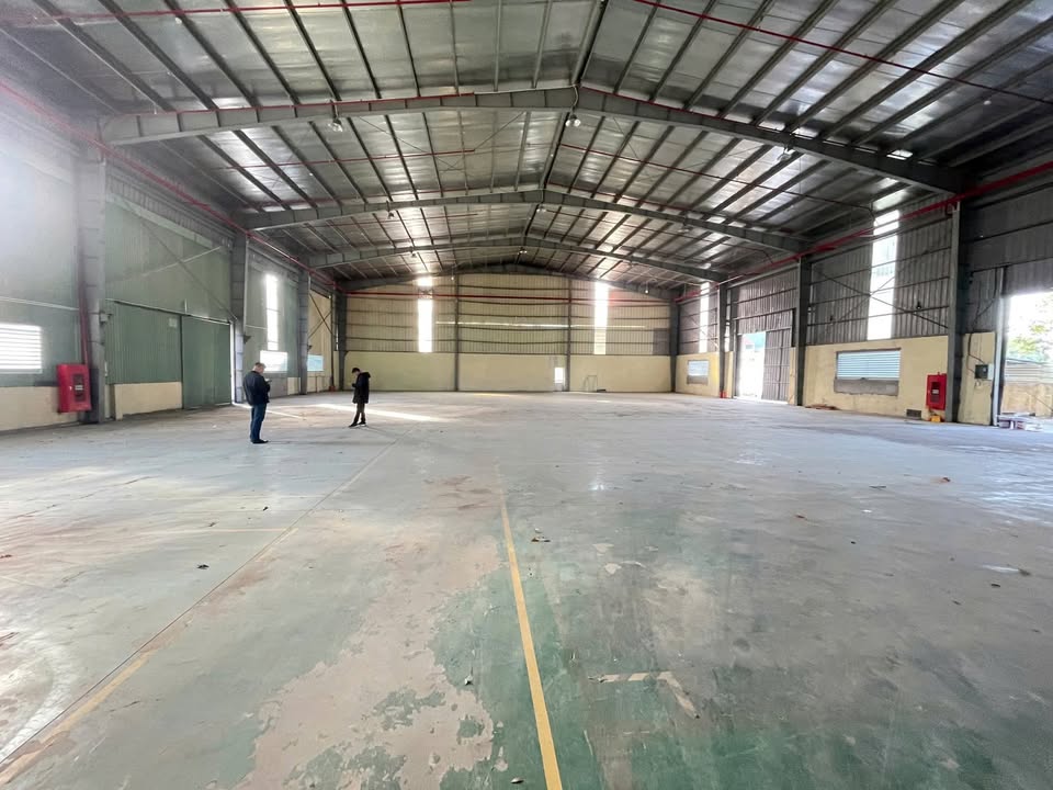 Cho thuê kho xưởng tại Kiêu Kỵ, Gia Lâm, Hà Nội 3800m² - Phù hợp mọi nhu cầu kinh doanh!