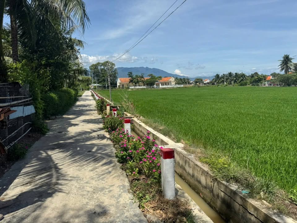 Đất nền chính chủ Ninh Hiệp 130m² giá chỉ 1,6 tỷ - Đầu tư sinh lời ngay!