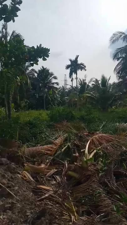 Đất nền Châu Điền 155m² giá 130 triệu - Mặt tiền đường ô tô thuận lợi!