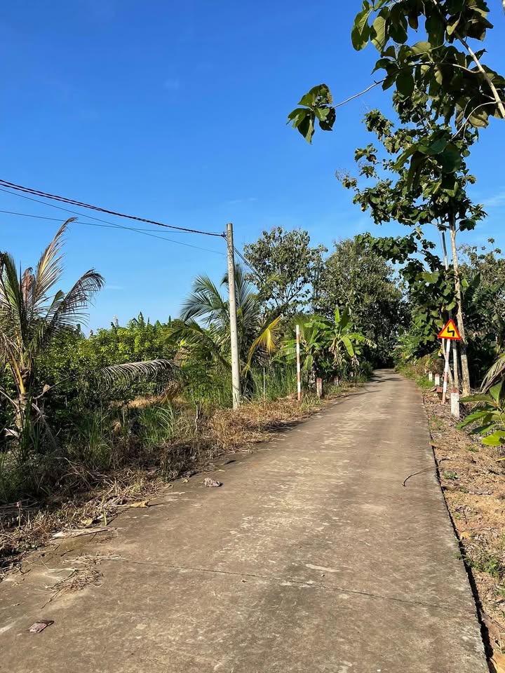 Đất vườn 7200m² tại xã Ngọc Định - Giá 700 triệu, cơ hội đầu tư hấp dẫn!