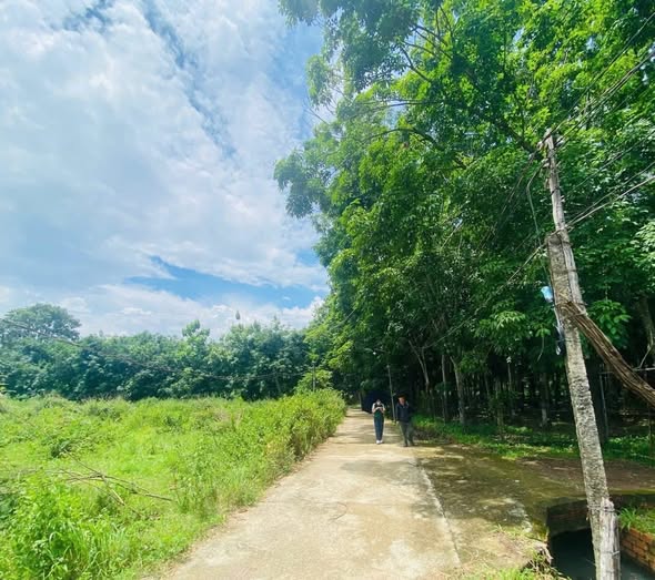 Đất nền An Lộc, Bình Long 480m² giá 300 triệu - Đầu tư sinh lời ngay!